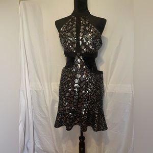 EXPRESS Sequin Dress